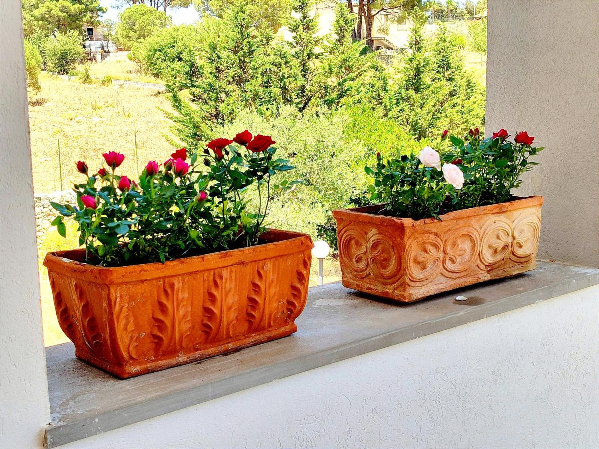 Villa Orizzonte Sullo Jonio Авола Екстериор снимка