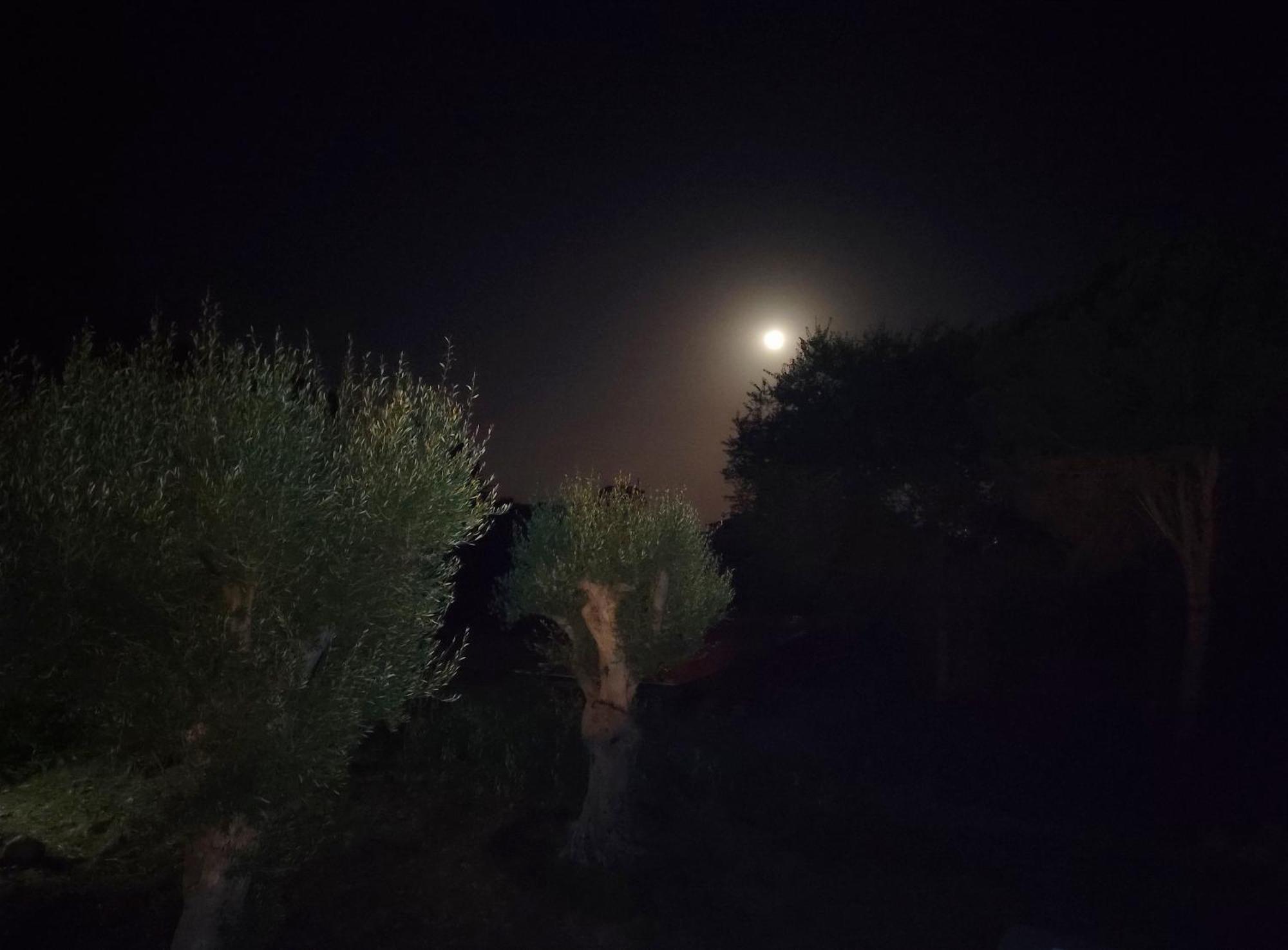 Villa Orizzonte Sullo Jonio Авола Екстериор снимка