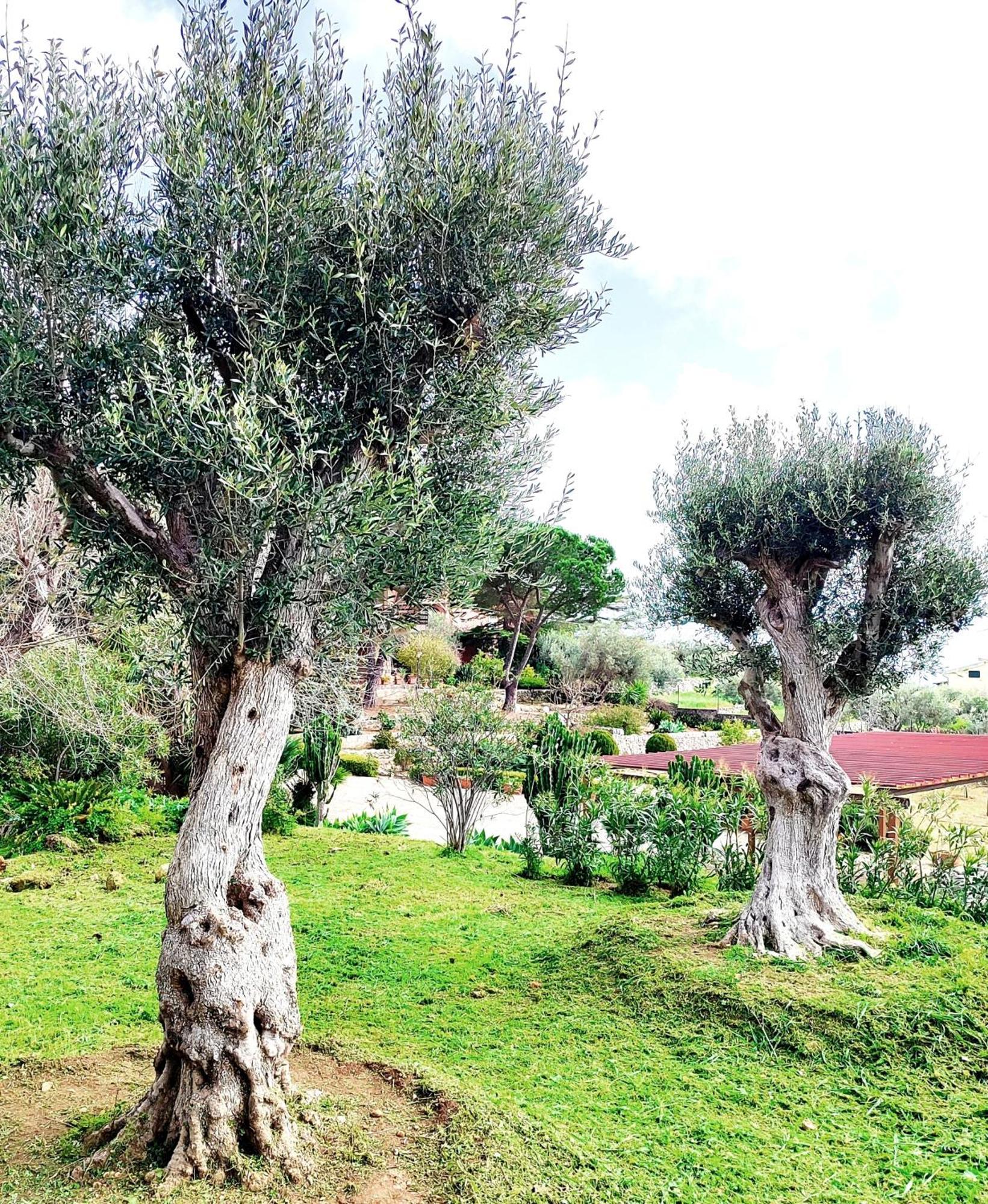 Villa Orizzonte Sullo Jonio Авола Екстериор снимка